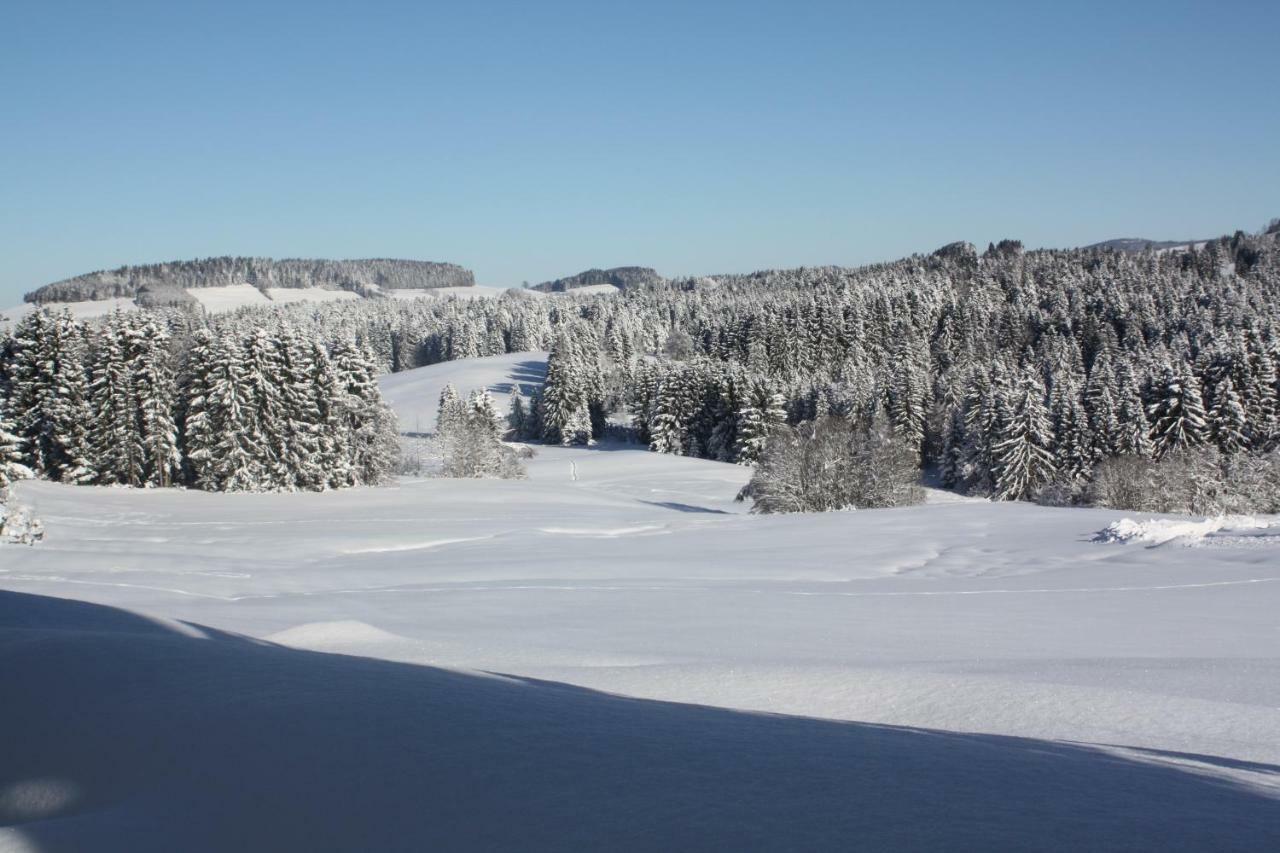 Ferienwohnung Nagelfluh Allgaeu Oberreute Exterior foto